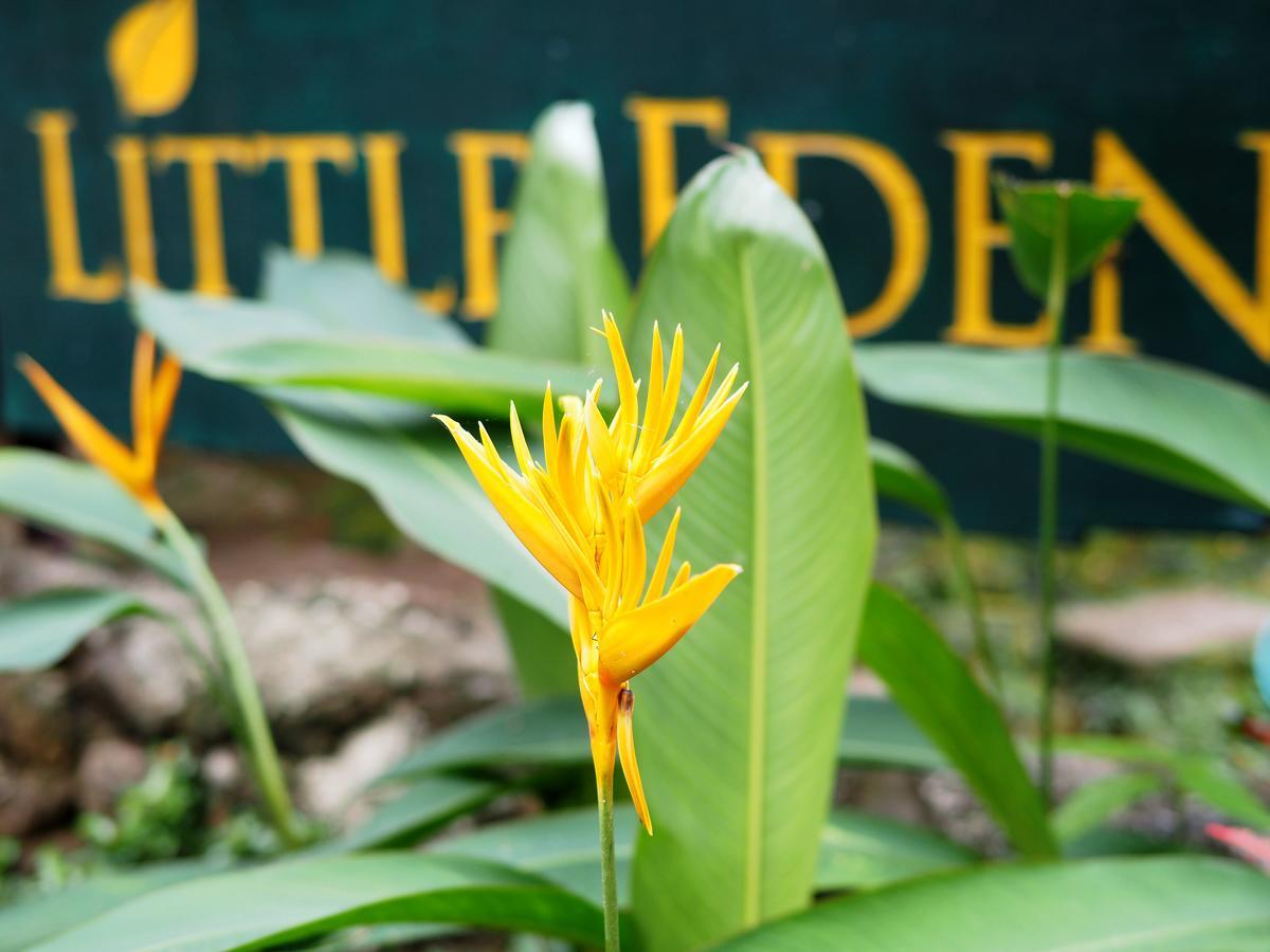 Little Eden Bungalows Koh Chang Exterior foto